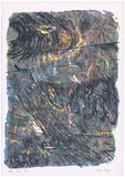 Artist: MEYER, Bill | Title: Grass storm | Date: 1987 | Technique: screenprint, printed in colour, from multiple stencils | Copyright: © Bill Meyer