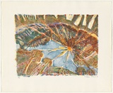 Artist: Robinson, William. | Title: Sunshine print | Date: 1990-92 | Technique: lithograph, printed in colour, from multiple plates