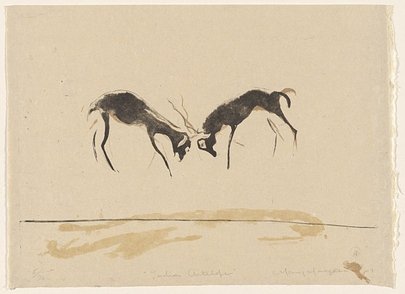 Artist: b'MACQUEEN, Mary' | Title: b'Indian antelopes' | Date: 1967 | Technique: b'lithograph, printed in colour, from multiple plates' | Copyright: b'Courtesy Paulette Calhoun, for the estate of Mary Macqueen'