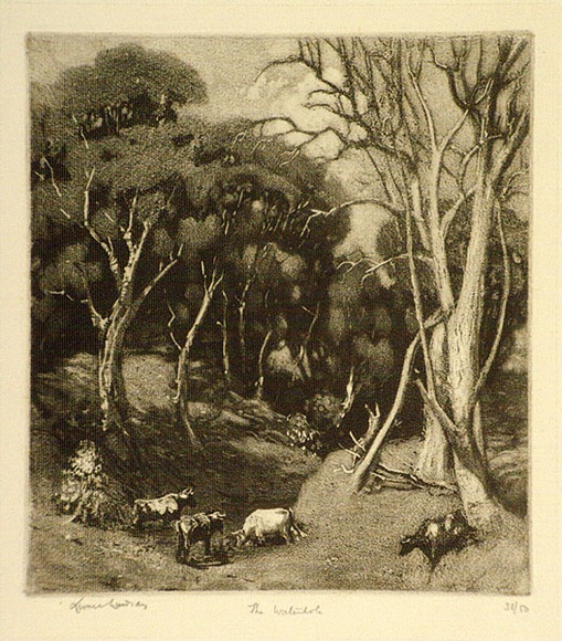 Artist: b'LINDSAY, Lionel' | Title: b'The waterhole, Cobar, N.S.W.' | Date: 1923 | Technique: b'aquatint and scraper, softground etching, printed in black ink, from one plate' | Copyright: b'Courtesy of the National Library of Australia' Artist: b'LINDSAY, Lionel' | Title: b'The waterhole, Cobar, N.S.W.' | Date: 1923 | Technique: b'aquatint and scraper, softground etching, printed in black ink, from one plate' | Copyright: b'Courtesy of the National Library of Australia'