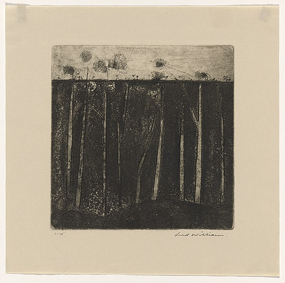 Artist: b'WILLIAMS, Fred' | Title: b'Gum trees at Colo Vale' | Date: 1958 | Technique: b'etching, aquatint, engraving and drypoint, printed in black ink, from one copper plate' | Copyright: b'\xc2\xa9 Fred Williams Estate' Artist: b'WILLIAMS, Fred' | Title: b'Gum trees at Colo Vale' | Date: 1958 | Technique: b'etching, aquatint, engraving and drypoint, printed in black ink, from one copper plate' | Copyright: b'\xc2\xa9 Fred Williams Estate'