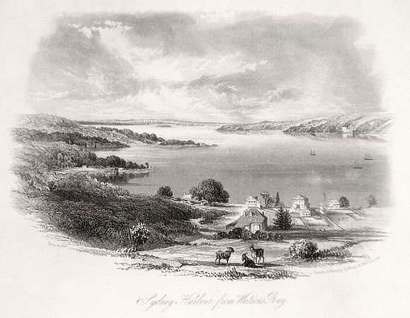 Artist: b'Terry, F.C.' | Title: bSydney Harbour from Watson's Bay | Date: 1853 | Technique: b'engraving, printed in black ink, from one steel plate' Artist: b'Terry, F.C.' | Title: bSydney Harbour from Watson's Bay | Date: 1853 | Technique: b'engraving, printed in black ink, from one steel plate'