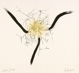 Artist: b'COLEING, Tony' | Title: b'Drawing for sculpture [2].' | Date: 1970 | Technique: b'lithograph, printed in colour, from two stones [or plates]'