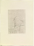 Artist: b'PARR, Mike' | Title: b'Hybridia 9' | Date: 1989 | Technique: b'drypoint, printed in black ink, from one copper plate'