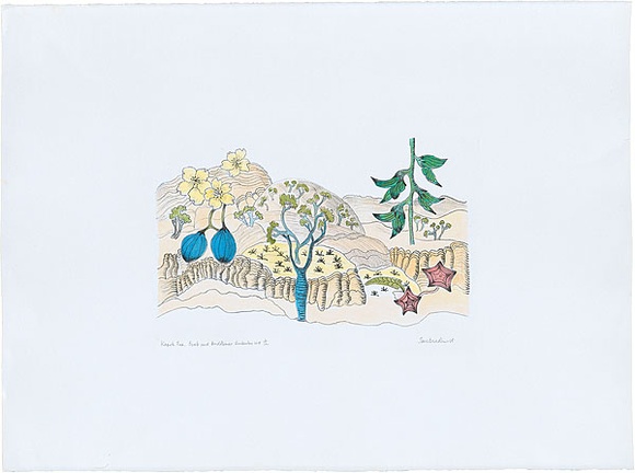 Artist: b'Bradhurst, Jane.' | Title: b'Kapok tree, boab and birdflower, Kimberley WA.' | Date: 1997 | Technique: b'lithograph, printed in colour, from multiple stones; hand-coloured' Artist: b'Bradhurst, Jane.' | Title: b'Kapok tree, boab and birdflower, Kimberley WA.' | Date: 1997 | Technique: b'lithograph, printed in colour, from multiple stones; hand-coloured'
