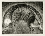 Artist: b'BOYD, Arthur' | Title: b'The Wolf of Gubbio with St Francis in a bent tree.' | Date: (1965) | Technique: b'lithograph, printed in black ink, from one plate' | Copyright: b'Reproduced with permission of Bundanon Trust'