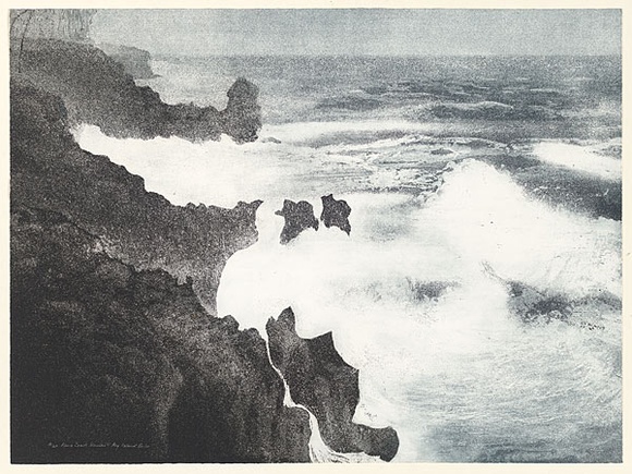 Artist: b'EWINS, Rod' | Title: b'Kona Coast.' | Date: 1990 June | Technique: b'spraycan aquatint, printed in black ink, from one steel plate'