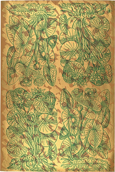 Artist: b'REDBACK GRAPHIX' | Title: b'Wrapping paper: Gold' | Date: 1986 | Technique: b'screenprint, printed in colour, from three stencils' Artist: b'REDBACK GRAPHIX' | Title: b'Wrapping paper: Gold' | Date: 1986 | Technique: b'screenprint, printed in colour, from three stencils'