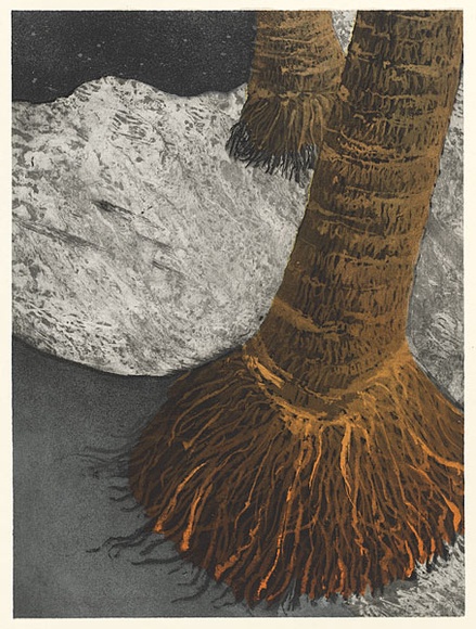 Artist: b'EWINS, Rod' | Title: b'Backwash, Kaimu Black Sand Beach.' | Date: 1990 May | Technique: b'spray-can aquatint, printed in black ink, from one steel plate; and cardboard relief print' Artist: b'EWINS, Rod' | Title: b'Backwash, Kaimu Black Sand Beach.' | Date: 1990 May | Technique: b'spray-can aquatint, printed in black ink, from one steel plate; and cardboard relief print'