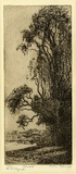Artist: Farmer, Helen. | Title: Sunlit. | Date: 1926 | Technique: etching, printed in black ink with plate-tone, from one plate