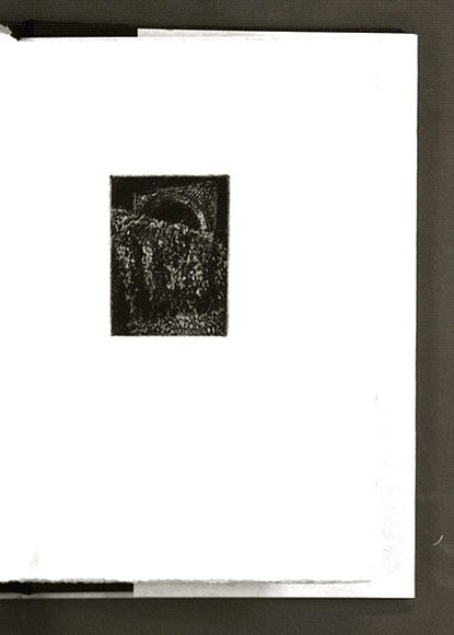 Artist: Forsyth, Christine. | Title: not titled. | Date: 1986 | Technique: etching, printed in black ink, from one plate