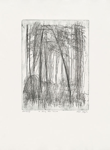Artist: b'MEYER, Bill' | Title: b'On seeing new growth' | Date: 1988 | Technique: b'etching, printed in blue/black ink with plate-tone, from one plate' | Copyright: b'\xc2\xa9 Bill Meyer' Artist: b'MEYER, Bill' | Title: b'On seeing new growth' | Date: 1988 | Technique: b'etching, printed in blue/black ink with plate-tone, from one plate' | Copyright: b'\xc2\xa9 Bill Meyer'