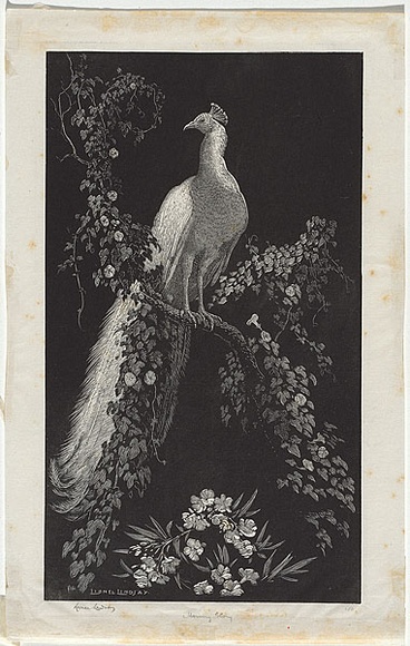 Artist: b'LINDSAY, Lionel' | Title: b'The pipe of baccy' | Date: 1924 | Technique: b'etching, printed in black ink, from one plate' | Copyright: b'Courtesy of the National Library of Australia' Artist: b'LINDSAY, Lionel' | Title: b'The pipe of baccy' | Date: 1924 | Technique: b'etching, printed in black ink, from one plate' | Copyright: b'Courtesy of the National Library of Australia'