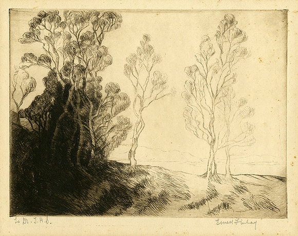Artist: b'Finlay, Ernest.' | Title: b'(Trees).' | Date: c.1925 | Technique: b'drypoint, printed in brown ink with plate-tone, from one plate' Artist: b'Finlay, Ernest.' | Title: b'(Trees).' | Date: c.1925 | Technique: b'drypoint, printed in brown ink with plate-tone, from one plate'