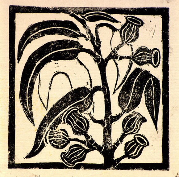 Artist: b'Kingston, Amie.' | Title: b'Birthday card for Jocelyn: Gum leaves with nuts' | Date: 1985 | Technique: b'linocut, printed in black ink, from one block' Artist: b'Kingston, Amie.' | Title: b'Birthday card for Jocelyn: Gum leaves with nuts' | Date: 1985 | Technique: b'linocut, printed in black ink, from one block'
