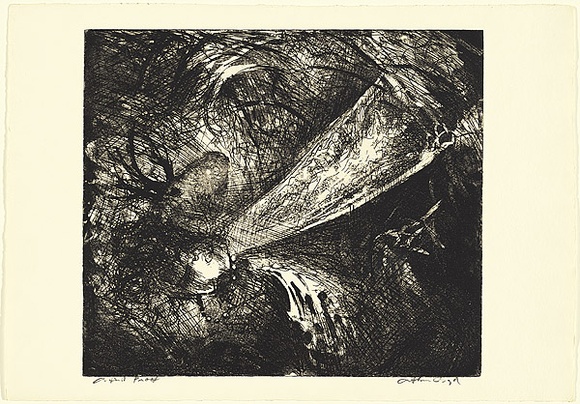 Artist: b'BOYD, Arthur' | Title: bFalling figure with beast's head. | Date: (1962-63) | Technique: b'etching, and aquatint, printed in black ink, from one plate' | Copyright: b'Reproduced with permission of Bundanon Trust' Artist: b'BOYD, Arthur' | Title: bFalling figure with beast's head. | Date: (1962-63) | Technique: b'etching, and aquatint, printed in black ink, from one plate' | Copyright: b'Reproduced with permission of Bundanon Trust'