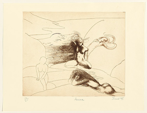 Artist: b'Shead, Garry.' | Title: b'Anima' | Date: 1975 | Technique: b'etching, printed in brown ink, from one plate' | Copyright: b'\xc2\xa9 Garry Shead' Artist: b'Shead, Garry.' | Title: b'Anima' | Date: 1975 | Technique: b'etching, printed in brown ink, from one plate' | Copyright: b'\xc2\xa9 Garry Shead'