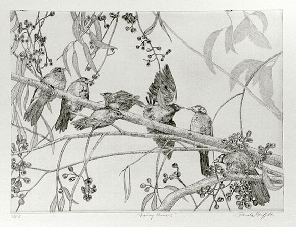 Artist: b'GRIFFITH, Pamela' | Title: b'Noisy Miners' | Date: 1989 | Technique: b'hard ground on one copper plate' | Copyright: b'\xc2\xa9 Pamela Griffith' Artist: b'GRIFFITH, Pamela' | Title: b'Noisy Miners' | Date: 1989 | Technique: b'hard ground on one copper plate' | Copyright: b'\xc2\xa9 Pamela Griffith'