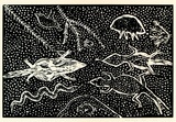 Artist: Bird Petyarre, Ada. | Title: not titled [Lizard] [No.16] | Date: 1990 | Technique: woodcut, printed in black ink, from one block | Copyright: © Ada Bird Petyarr. Licensed by VISCOPY, Australia