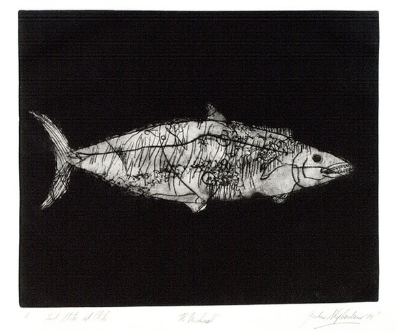 Artist: b'Shepherdson, Gordon.' | Title: b'The Mackerel: Number one' | Date: 1979 | Technique: b'etching and aquatint, printed in colour with plate-tone, from one plate' Artist: b'Shepherdson, Gordon.' | Title: b'The Mackerel: Number one' | Date: 1979 | Technique: b'etching and aquatint, printed in colour with plate-tone, from one plate'