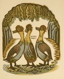 Artist: OGILVIE, Helen | Title: Greeting card: Christmas Tetratheca | Technique: linocut, printed in colour, from multiple blocks