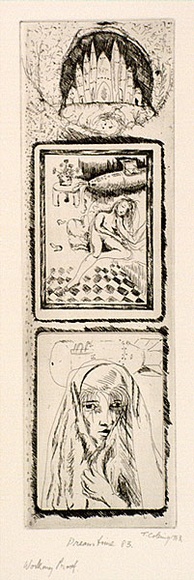 Artist: b'COLEING, Tony' | Title: bDreamtime '83. | Date: 1983 | Technique: b'hardground etching and aquatint, printed in black ink, from one plate'