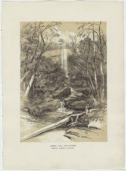 Artist: PROUT, John Skinner | Title: Lower fall, Willoughby, North Shore Sydney. | Date: 1842 | Technique: lithograph, printed in colour, from two stones (black and brown tint stone)