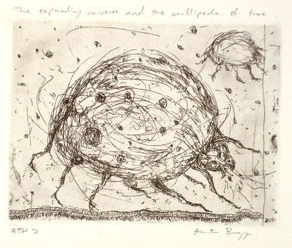 Artist: b'Bragge, Anita.' | Title: b'The expanding universe and the millipede of time' | Date: 1999, September | Technique: b'etching, printed in black ink, from one plate' Artist: b'Bragge, Anita.' | Title: b'The expanding universe and the millipede of time' | Date: 1999, September | Technique: b'etching, printed in black ink, from one plate'