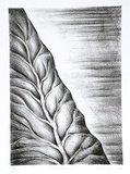 Artist: Weiss, Rosie. | Title: Pathway. | Date: 1989 | Technique: lithograph