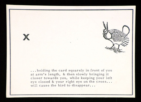 Artist: b'Peacock, Bob.' | Title: b'Vanishing bird, heath hen: a postcard from the portfolio Rare birds with sticky wings.' | Date: (1976) | Technique: b'photocopy' Artist: b'Peacock, Bob.' | Title: b'Vanishing bird, heath hen: a postcard from the portfolio Rare birds with sticky wings.' | Date: (1976) | Technique: b'photocopy'