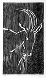 Artist: Buckley, Sue. | Title: Goat. | Date: 1962 | Technique: woodcut, printed in black ink, from one block | Copyright: This work appears on screen courtesy of Sue Buckley and her sister Jean Hanrahan