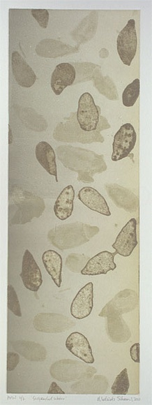 Artist: b'Schawel, Melinda.' | Title: b'Suspended water' | Date: 2000, February | Technique: b'etching, printed in colour, from multiple plates' Artist: b'Schawel, Melinda.' | Title: b'Suspended water' | Date: 2000, February | Technique: b'etching, printed in colour, from multiple plates'