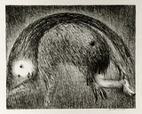 Artist: b'BOYD, Arthur' | Title: b'The Wolf of Gubbio with St Francis in a bent tree.' | Date: (1965) | Technique: b'lithograph, printed in black ink, from one plate' | Copyright: b'Reproduced with permission of Bundanon Trust'
