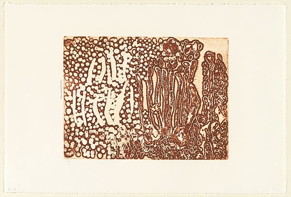 Artist: b'Nampitjin, Eubena.' | Title: b'Heavily textured vertical lines and dot motif' | Date: 2000, 3 April | Technique: b'etching, printed in reddish brown ink, from one zinc plate' Artist: b'Nampitjin, Eubena.' | Title: b'Heavily textured vertical lines and dot motif' | Date: 2000, 3 April | Technique: b'etching, printed in reddish brown ink, from one zinc plate'