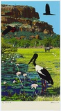 Title: Kakadu | Date: 1985 | Technique: screenprint, printed in colour, from multiple stencils