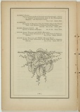 Title: not titled [muehlenbeckia complexa]. | Date: 1861 | Technique: woodengraving, printed in black ink, from one block