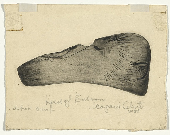 Artist: b'Cilento, Margaret.' | Title: b'Head of baboon.' | Date: 1951 | Technique: b'etching, printed in black ink with plate-tone, from one plate' Artist: b'Cilento, Margaret.' | Title: b'Head of baboon.' | Date: 1951 | Technique: b'etching, printed in black ink with plate-tone, from one plate'