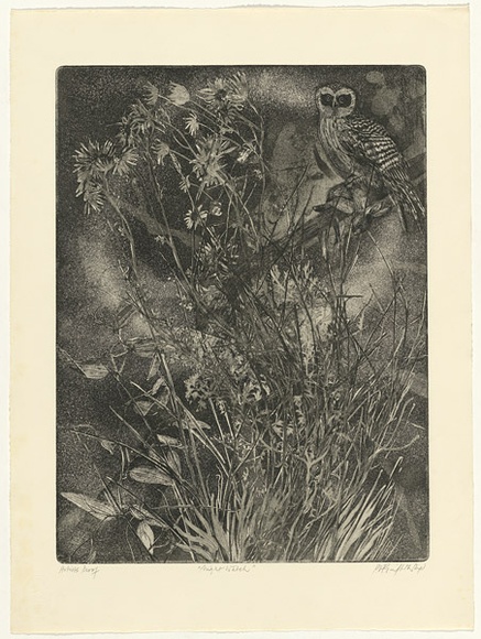 Artist: b'GRIFFITH, Pamela' | Title: b'Night watch' | Date: 1980 | Technique: b'etching, soft ground, spray resist printed in black ink, from one zinc plate' | Copyright: b'\xc2\xa9 Pamela Griffith' Artist: b'GRIFFITH, Pamela' | Title: b'Night watch' | Date: 1980 | Technique: b'etching, soft ground, spray resist printed in black ink, from one zinc plate' | Copyright: b'\xc2\xa9 Pamela Griffith'