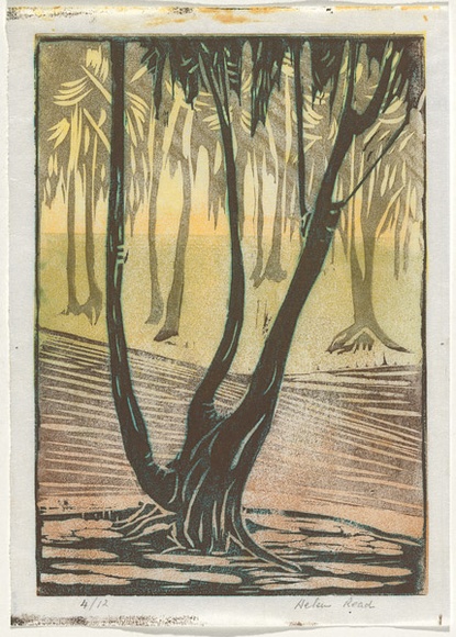 Artist: b'Read, Helen.' | Title: b'Evening sunlight' | Date: 1930s | Technique: b'linocut, printed in colour, from multiple blocks' Artist: b'Read, Helen.' | Title: b'Evening sunlight' | Date: 1930s | Technique: b'linocut, printed in colour, from multiple blocks'