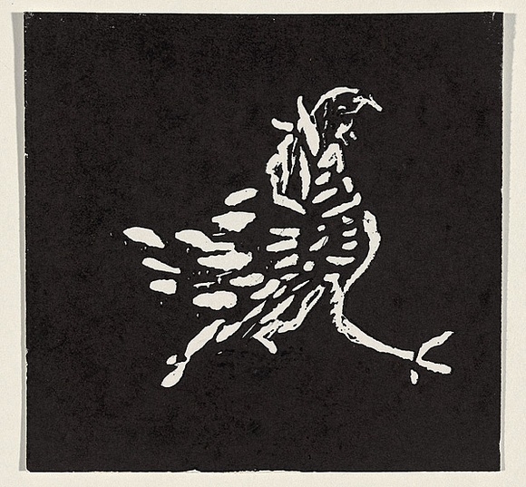 Artist: b'WILLIAMS, Fred' | Title: b'Cockerel [2nd version]' | Date: 1957 | Technique: b'linocut, printed in black ink, from one block' | Copyright: b'\xc2\xa9 Fred Williams Estate'