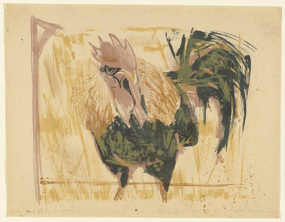 Artist: b'MACQUEEN, Mary' | Title: b'Cock at Whyalla' | Date: c.1966 | Technique: b'lithograph, printed in colour, from multiple plates' | Copyright: b'Courtesy Paulette Calhoun, for the estate of Mary Macqueen' Artist: b'MACQUEEN, Mary' | Title: b'Cock at Whyalla' | Date: c.1966 | Technique: b'lithograph, printed in colour, from multiple plates' | Copyright: b'Courtesy Paulette Calhoun, for the estate of Mary Macqueen'