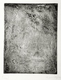 Artist: b'Shearer, Mitzi.' | Title: b'not titled' | Date: 1984 | Technique: b'etching, printed in black ink, from one  plate'