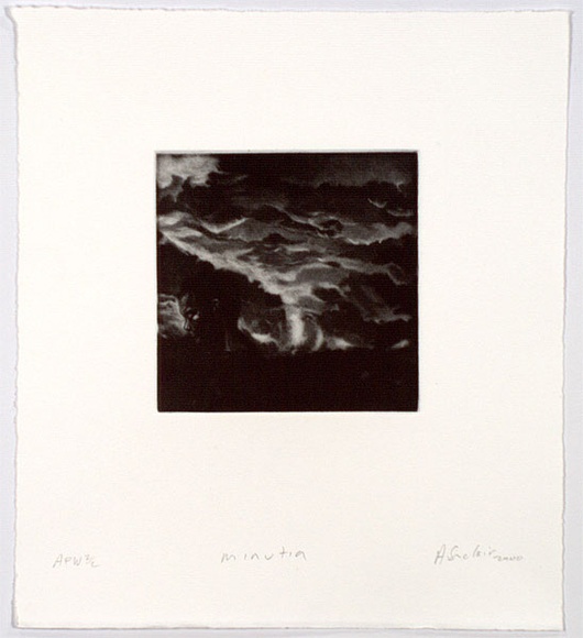 Artist: b'Sinclair, Andrew.' | Title: b'Minutia' | Date: 2000, October | Technique: b'mezzotint, scraping and burnishing, printed in black ink, from one plate' Artist: b'Sinclair, Andrew.' | Title: b'Minutia' | Date: 2000, October | Technique: b'mezzotint, scraping and burnishing, printed in black ink, from one plate'
