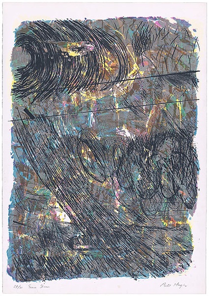 Artist: b'MEYER, Bill' | Title: b'Grass storm' | Date: 1987 | Technique: b'screenprint, printed in colour, from multiple stencils' | Copyright: b'\xc2\xa9 Bill Meyer' Artist: b'MEYER, Bill' | Title: b'Grass storm' | Date: 1987 | Technique: b'screenprint, printed in colour, from multiple stencils' | Copyright: b'\xc2\xa9 Bill Meyer'
