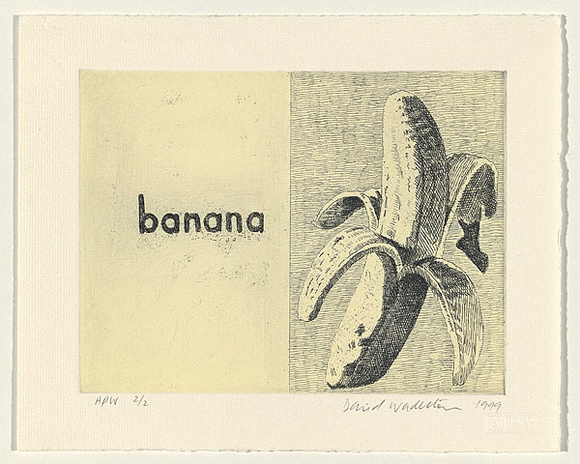 Artist: b'Wadelton, David.' | Title: bA page from Lucy's book | Date: 1999, November | Technique: b'etching, printed in black ink and relief printed in colour, from one plate' Artist: b'Wadelton, David.' | Title: bA page from Lucy's book | Date: 1999, November | Technique: b'etching, printed in black ink and relief printed in colour, from one plate'