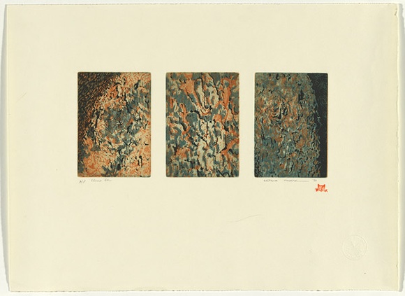 Artist: b'Thorpe, Lesbia.' | Title: b'Chinese elm' | Technique: b'lithograph, printed in colour, from multiple stones; over etching, printed in black ink, each from one plate' Artist: b'Thorpe, Lesbia.' | Title: b'Chinese elm' | Technique: b'lithograph, printed in colour, from multiple stones; over etching, printed in black ink, each from one plate'