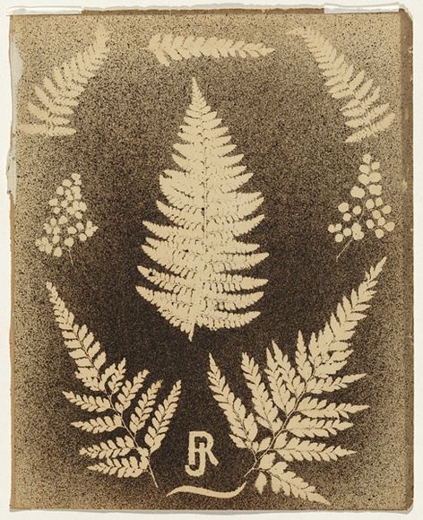 Artist: b'Jackson, Robert.' | Title: b'(Eight fern leaves)' | Date: 1875 | Technique: b'splatterwork, printed in brown/black ink, from one stencil' Artist: b'Jackson, Robert.' | Title: b'(Eight fern leaves)' | Date: 1875 | Technique: b'splatterwork, printed in brown/black ink, from one stencil'