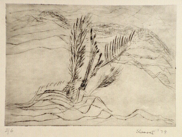Artist: b'Shearer, Mitzi.' | Title: b'not titled' | Date: 1979 | Technique: b'etching, drypoint printed in black ink with plate-tone, from one plate' Artist: b'Shearer, Mitzi.' | Title: b'not titled' | Date: 1979 | Technique: b'etching, drypoint printed in black ink with plate-tone, from one plate'