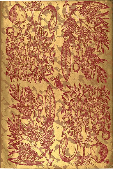 Artist: b'REDBACK GRAPHIX' | Title: b'Wrapping paper: Gold' | Date: 1986 | Technique: b'screenprint, printed in colour, from three stencils' Artist: b'REDBACK GRAPHIX' | Title: b'Wrapping paper: Gold' | Date: 1986 | Technique: b'screenprint, printed in colour, from three stencils'