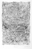 Artist: b'Sharp, James.' | Title: b'Lithograph F' | Date: 1978 | Technique: b'lithograph, printed in black ink, from one stone [or plate]' | Copyright: b'\xc2\xa9 Estate of James Sharp'